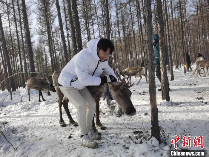 圖為與馴鹿合影的臺灣青年們?！±類燮?攝