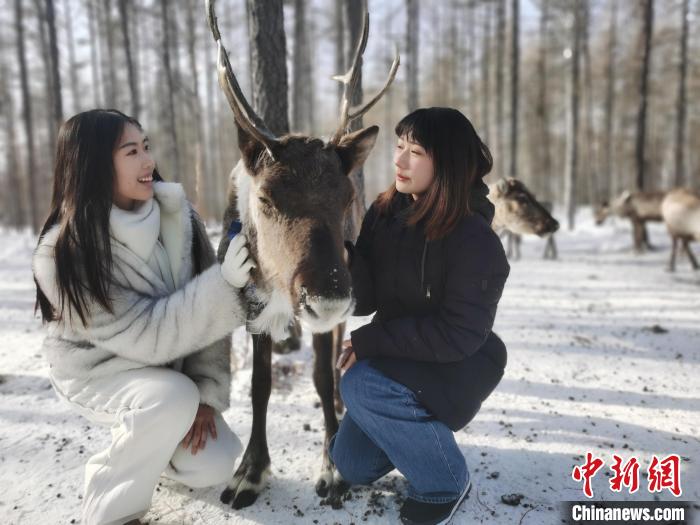 圖為與馴鹿合影的臺灣青年們?！±類燮?攝