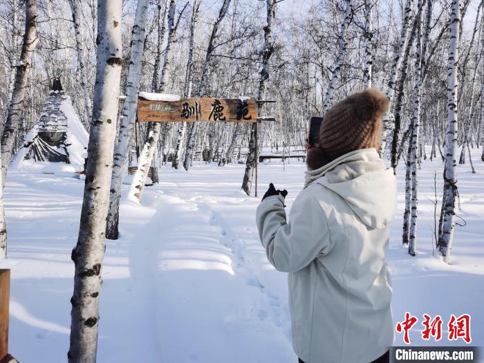 圖為行走在白樺林中的臺灣學(xué)子。　李愛平 攝