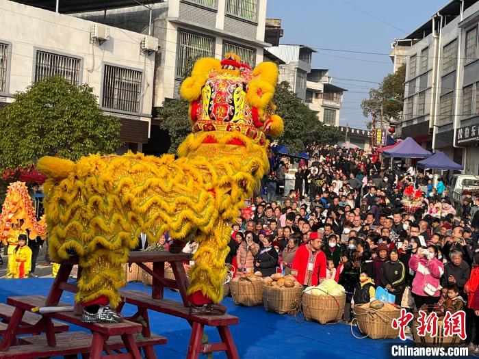 湘粵桂數(shù)萬瑤胞“趕鳥”話豐收?！〗揽h委宣傳部供圖