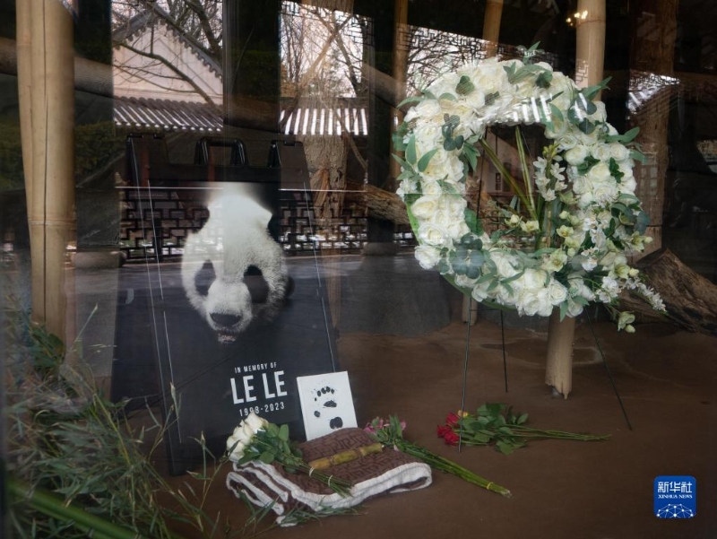 2月4日，美國田納西州孟菲斯動物園擺放了紀(jì)念大熊貓“樂樂”的照片和鮮花。（圖源：新華社）