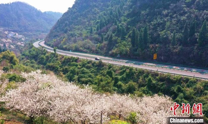 三峽專(zhuān)用公路穿越崇山峻嶺?！∶璐?攝