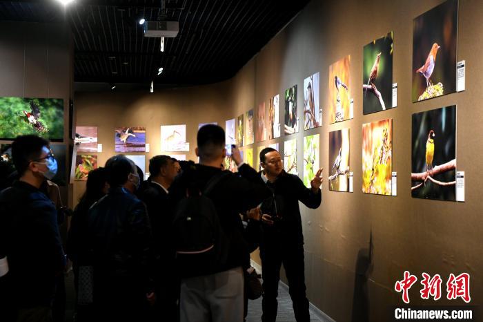 民眾觀看福建省野生動(dòng)植物保護(hù)科普展。　王東明 攝