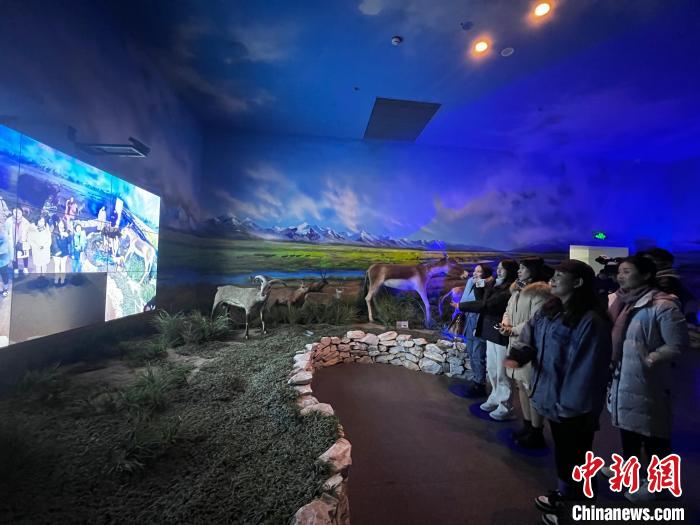 圖為此次活動受邀嘉賓參觀玉樹州博物館?！±罱瓕?攝
