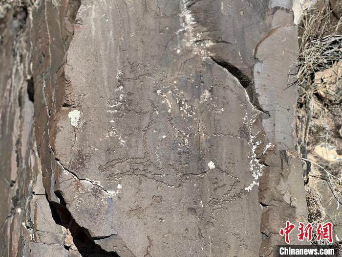 圖為稱多縣境內(nèi)的巖畫?！±罱瓕?攝