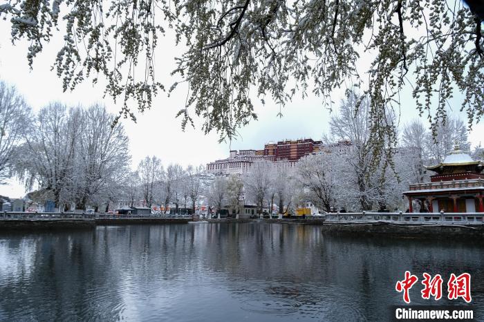 3月30日，春雪與布達(dá)拉宮?！〗w波 攝