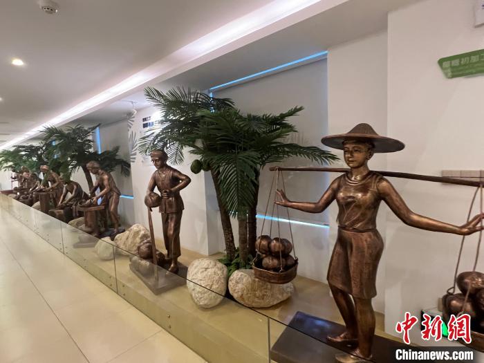 春光椰子王國(guó)里的椰子文化展示?！÷访?攝