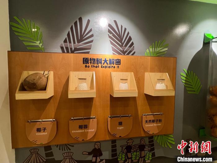 春光椰子王國(guó)里的椰子糖原物料展示?！÷访?攝