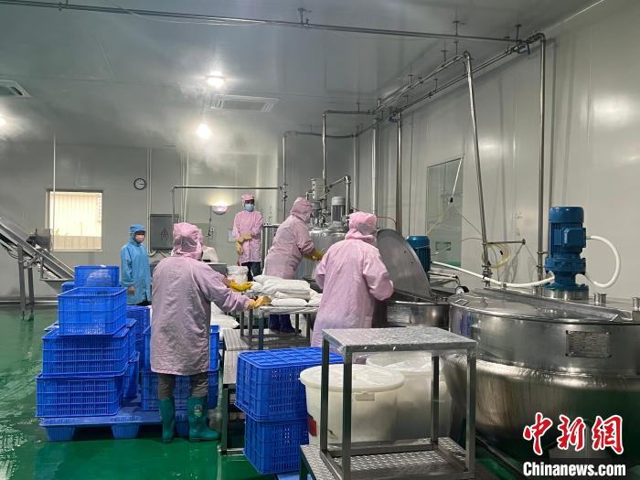 鮮友的生產(chǎn)車間內(nèi)，員工正在制作果汁產(chǎn)品?！÷访?攝