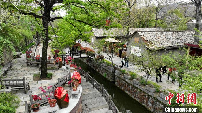 資料圖：蘭陵縣壓油溝景區(qū)內(nèi)仿古的石頭房、整齊的青石板路吸引游客參觀。(無人機(jī)照片) 劉芳芳 攝