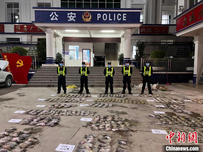 圖為移民管理警察對鱷魚爪清點標號。　鄧敦宇 攝