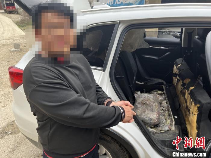 圖為嫌疑人對無合法手續(xù)鱷魚爪進行指認?！∴嚩赜?攝