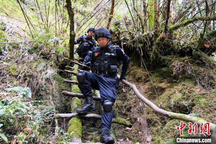 4月9日，拉郊邊境派出所移民管理警察在邊境地區(qū)原始森林進(jìn)行戍邊巡邏?！〗w波 攝