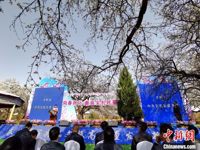 高原小城尖扎打造“青海民宿第一縣”：向春而行，美美與共