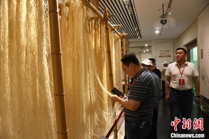 海外華文媒體嘉賓們參觀夏布博物館。　陳超 攝
