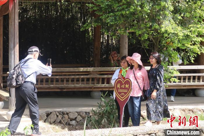 幾位臺胞在兩岸同心樹下合影，共植之樹今已亭亭如蓋?！《做?攝