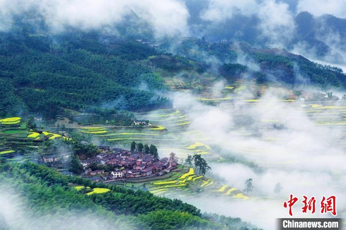 麗水一景?！←愃形麄鞑抗﹫D
