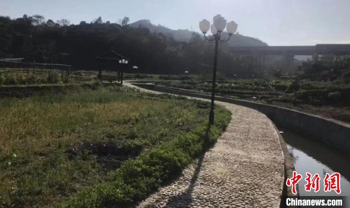 鋪前村中，景觀步道在田園間延伸?！∧习彩写a頭鎮(zhèn)政府 供圖