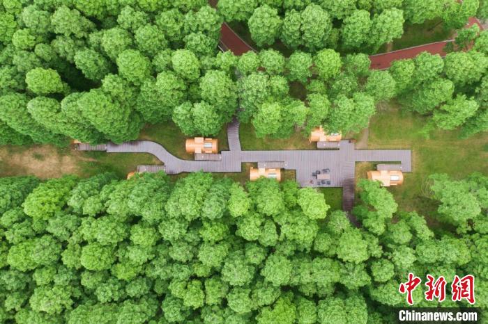 航拍黃海國家森林公園?！°蟛?攝