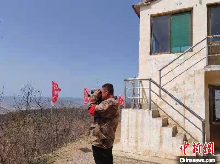 王強說，在山里習慣了，他對這里的一溝一壑了然于胸，這片山林幾乎就是他的世界?！罱▊?攝