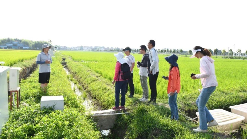 △云南大理古生村科技小院成員在田間調(diào)查。