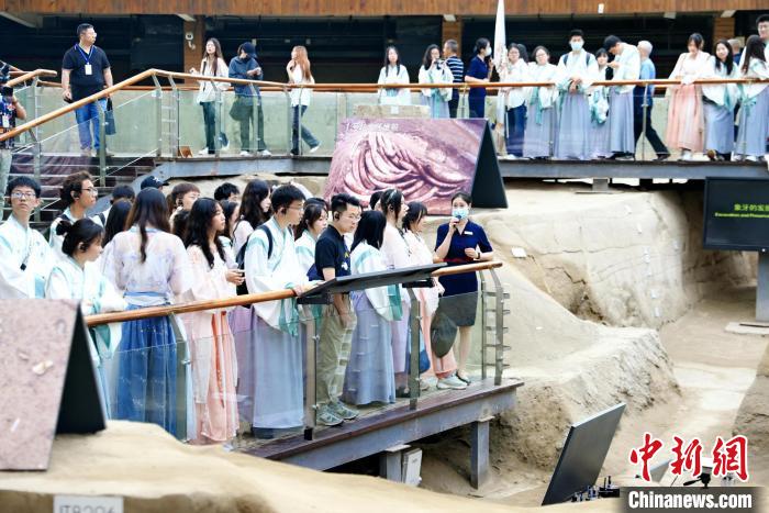 在蓉港澳臺(tái)僑大學(xué)生參觀成都金沙遺址博物館。　張永成 攝