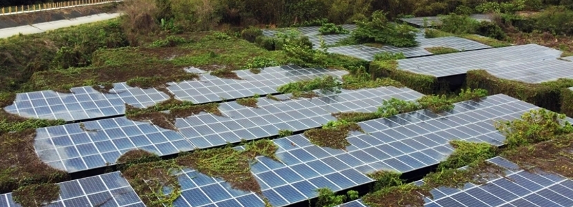 砍樹種電、軍區(qū)搭光電板…民進黨為綠能產(chǎn)業(yè)可以多離譜？