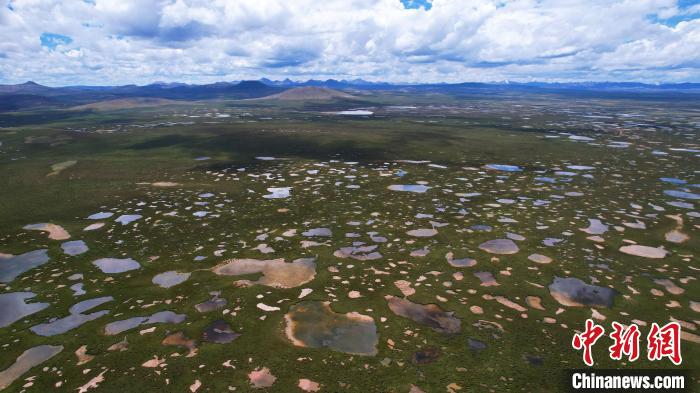 青海整治侵占、污染、破壞濕地類型自然保護地