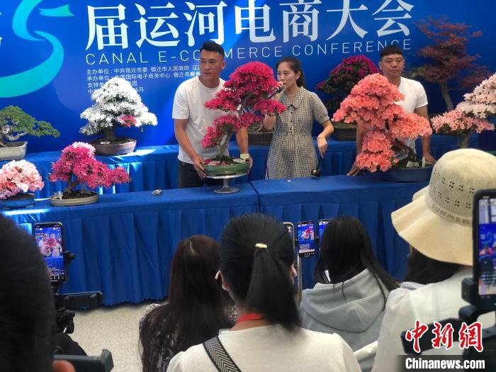 數(shù)十名主播在直播間內競拍花木盆景?！⒘?攝