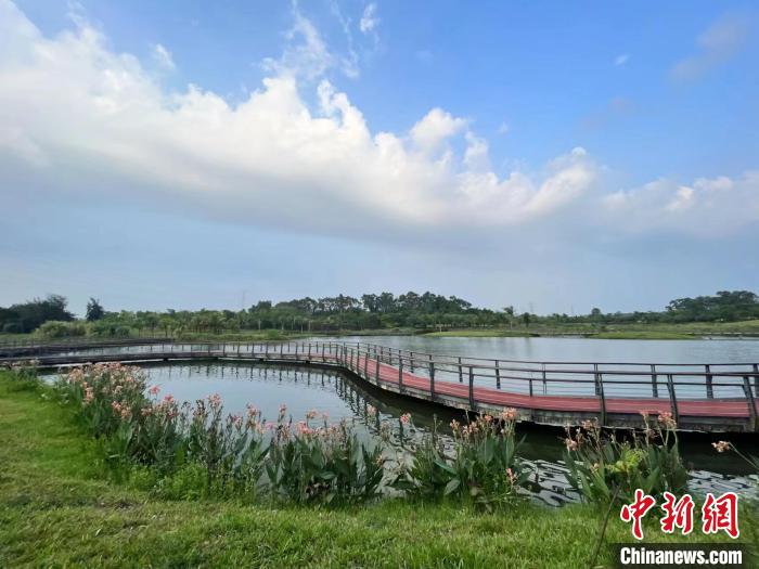 5月20日，五源河國(guó)家濕地公園美如畫。　?？谑袧竦乇Ｗo(hù)管理中心供圖