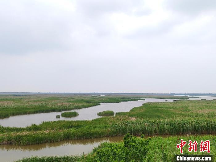 保護(hù)區(qū)內(nèi)的濕地?！」热A 攝