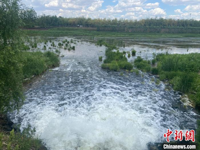 2日，經(jīng)四平市污水處理廠的尾水正在排入西湖濕地?！∽T偉旗 攝
