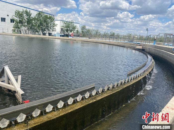 2日，四平市污水處理廠，污水正在二沉池進(jìn)行泥水分離。　譚偉旗 攝