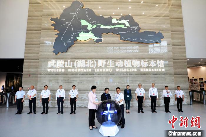湖北五峰后河國家級自然保護(hù)區(qū)發(fā)現(xiàn)4個新物種