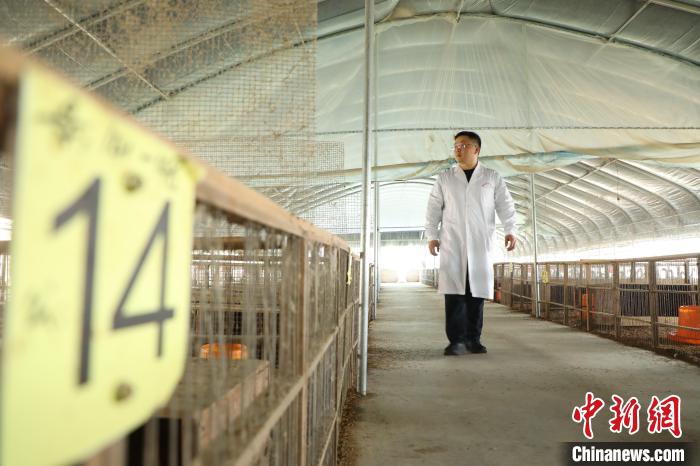 王勇在肥西縣銘傳鄉(xiāng)明航養(yǎng)殖基地指導?！》市?攝
