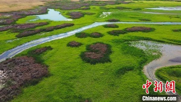 瑪納斯國(guó)家濕地公園，是世界候鳥(niǎo)的重要棲息地繁殖地，是候鳥(niǎo)飛越天山的“能量補(bǔ)充站”?！⊥吡λ菇?攝