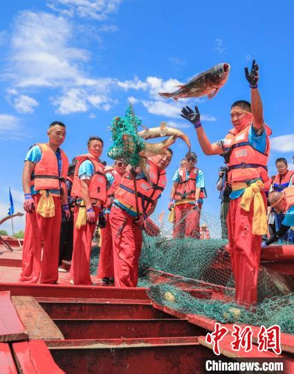 漁民們將魚拋進(jìn)船艙?！∧昀?攝