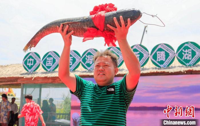 新疆博斯騰湖開(kāi)湖捕魚(yú)頭魚(yú)拍出9.9萬(wàn)元