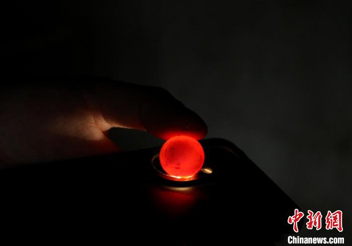 在肥西縣銘傳鄉(xiāng)白龍村稻鱉共養(yǎng)基地內(nèi)，一只鱉蛋里幼鱉正在長(zhǎng)成?！￡惣覙?lè) 攝