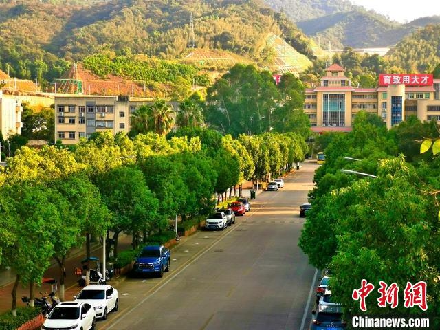 圖為三明學院校園一角?！∪鲗W院供圖