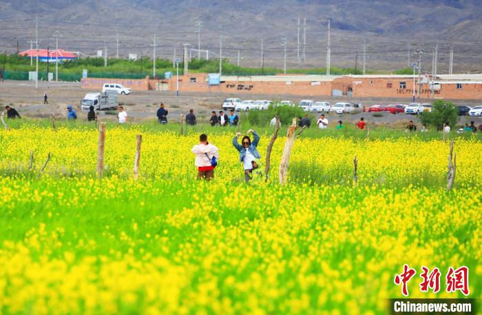 游客在油菜花海中拍照?！⊥锌诉d縣委宣傳部供圖