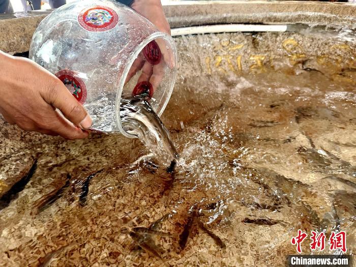 圖為當(dāng)?shù)孛癖姺帕髑嗪：沲?。　李雋 攝