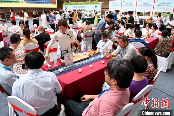 此次活動以“花樣漳州·烏龍茶香”為主題。圖為茶會現(xiàn)場參會嘉賓品茗聊天?！埥鸫?攝
