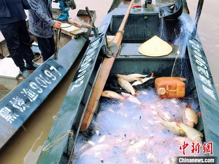 禁漁期結(jié)束，漁民下江打魚收獲滿滿。　王宇 攝