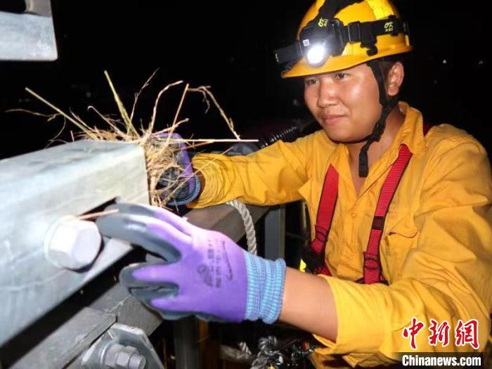 中老鐵路：深夜，“小黃人”幫小鳥搬“新家”