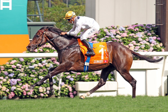 星級(jí)賽駒“金槍六十”三奪“香港馬王”殊榮。（香港賽馬會(huì)供圖）