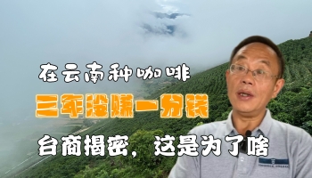 【滇西行】在云南種咖啡三年未賺一分錢？！臺(tái)商揭密個(gè)中原因