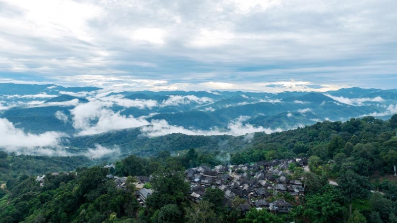 被山林與茶園環(huán)繞的景邁山翁基村一景（無人機照片，9月17日攝）