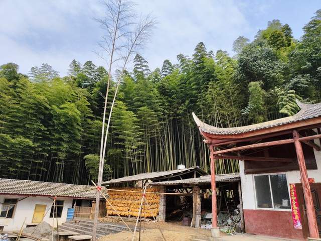 “金鐘玉鼓”鳴西蜀，彭州老君山文化傳承人王志強(qiáng)致力打造文旅目的地(圖4)
