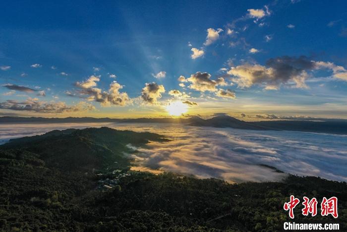 景邁山云海。 邵鴻雁攝